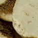 Schlangenkürbiswurzel Tropfen - Tinktur