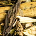 Patriniakraut Salbe