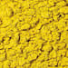 Schmalblättrige Rohrkolbenpollen Tropfen - Tinktur
