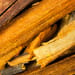 Sappanholz Tropfen - Tinktur