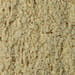 Shiitake Pulver Tropfen - Tinktur