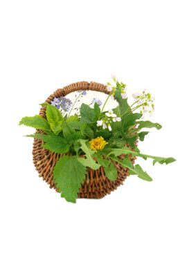 Nierentee nach Breuss 75g