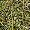 Osterluzei Tropfen - Tinktur - Herba Aristolichiae clematitis tinctura
