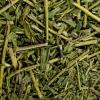 Stellerakraut Tropfen - Tinktur - Herba Stellerae chamaejasme tinctura