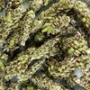 Schopflavendel Tropfen - Tinktur - Herba Lavandulae stoechas tinctura