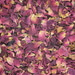 Rosenblüten Tropfen - Tinktur
